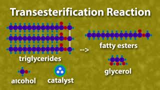 Chemistry of Biodiesel [upl. by Eelac]