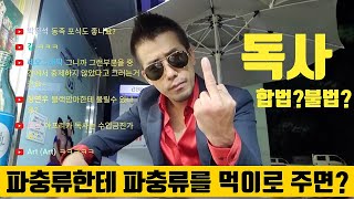 파충류가 같은 파충류를 먹으면 어떻게 될까 독사는 합법vs불법 [upl. by Norma]