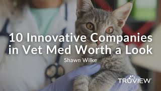 10 Innovative Companies in Vet med Worth a Look [upl. by Eybba491]