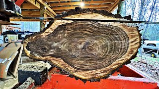 This Log Made me Nervous  Rare Walnut on the Sawmill [upl. by Roma788]