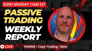 Passive Trading  Weekly Profits Report  November 20th 2023 [upl. by Hege]