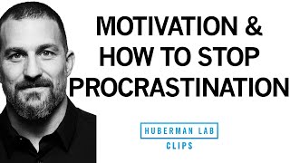 How to Stop Procrastination amp Increase Motivation  Dr Andrew Huberman [upl. by Ylirama]