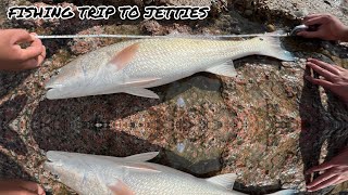 South Padre Island Isla Blanca Jetties Fishing Lots of Red Fish Recently [upl. by Jat]