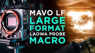 Large Format Macro with the Kinefinity MAVO LF and the Laowa 24mm Probe Lens – Epic Episode 7 [upl. by Nyrehtak776]