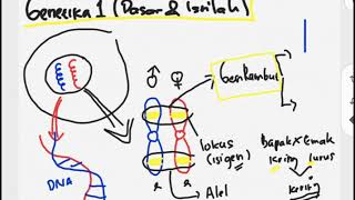 Genetika 1 Pengenalan dan Istilah2hapal semua istilah genetika dalam 10 menit [upl. by Terrilyn]