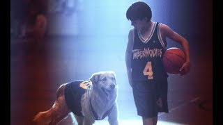 White Iverson  Air Bud [upl. by Melisande]