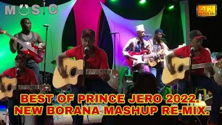 Prince Jero playing best of Abdullah Jirmas collection in band Remix [upl. by Eynahpets]