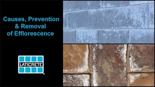 What Causes Efflorescence and how to remove and prevent it [upl. by Morris]