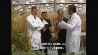 The World According to Monsanto GMO Documentary [upl. by Analli]