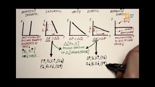 EC1002 Chapter 2 Lesson 4  Demand Curves Elasticity amp Other Key Concepts Full [upl. by Enimzzaj]