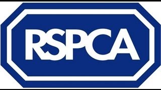 RSPCA Video montage of trainee inspectors course [upl. by Ethbinium]