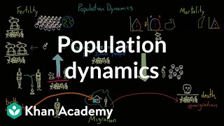 Population dynamics  Society and Culture  MCAT  Khan Academy [upl. by Boelter592]