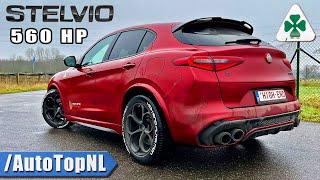 560HP Alfa Romeo Stelvio QV  REVIEW on AUTOBAHN NO SPEED LIMIT by AutoTopNL [upl. by Ettennahs978]