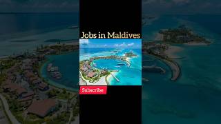 Maldives 🇲🇻 Jobs shorts yt viral subscribe trending [upl. by Melquist]