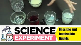 Experiment on Miscible and immiscible liquids  Science Experiment 1  Easy Chemistry Experiments [upl. by Ahcsropal]