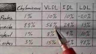 Lipoprotein Physiology Overview 14 [upl. by Nauqe]