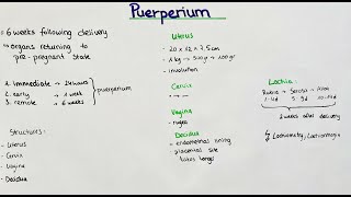 Puerperium  postpartum period Lochia Involution [upl. by Hpotsirhc]