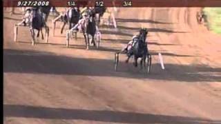 Harness Racing Somebeachsomewhere World Record 3yo Pacing Horseflv [upl. by Kceb]