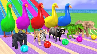 Basket Ball Game Game With Cow Elephant Gorilla Tiger Dinosaur Wild Animal Escape Cage Game [upl. by Malca769]