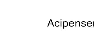 How to pronounce Acipenseridae [upl. by Chrystel198]