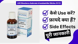 LDD Bioscience Ambrosia Artemisiaefolia Dilution 30 CH Uses in Hindi  Side Effects  Review [upl. by Albion]