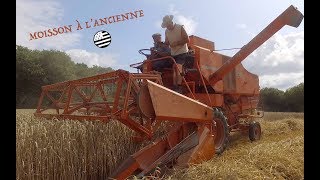 Moisson à lancienne 2019 [upl. by Llenrac307]