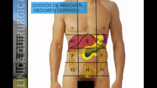 DIVISIÓN TOPOGRÁFICA DE ABDOMENavi [upl. by Inaja]