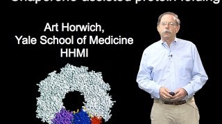 Arthur Horwich YaleHHMI Part 1B Chaperoneassisted protein folding [upl. by Hirasuna]