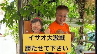 宜野湾市市長選大激戦、イサオ勝たせて下さい2024年9月7日 [upl. by Siseneg]