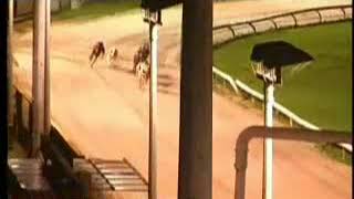 IGB  Raymart Gold Cup Open 1st Semi Final 03112018 Race 6  Drumbo Park [upl. by Atalya]