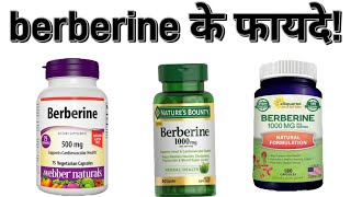 berberine benefits  berberine ke fayde  berberine side effects  berberine how to take  berberine [upl. by Cartan604]