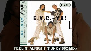 Feelin Alright Funky 802 Mix [upl. by Yetac141]