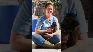 Six Puppies Abandoned at the Same Spot in One Week puppy dogs norfolk rspca youtubeshorts [upl. by Suiraj]