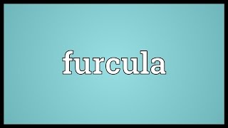 Furcula Meaning [upl. by Hewitt]