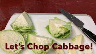 Vitamix Food Processor Cabbage 1st Attempt newbie [upl. by Koeppel808]