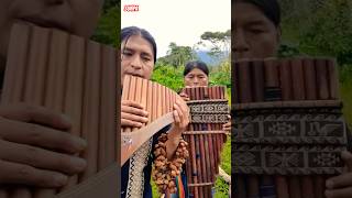 Raimy Salazar Official ❤️❤️ Sunpa flute music [upl. by North651]