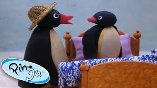 Pingu Pinga and Pingu [upl. by Eniamrehc787]