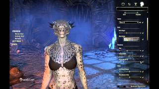 Elder Scrolls Online Beta Female Argonian Creation [upl. by Lyrradal]