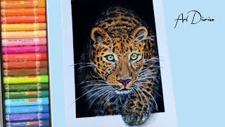 Easy Leopard Drawing with Oil Pastels for Beginners  Step by Step  No Clickbait [upl. by Airretal]