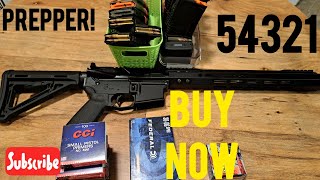 Buy these 5 gun items now Prepping For Gun And Ammo Shortage [upl. by Adnawal254]