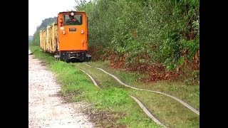 Feldbahn Light railway  Romping train  quotlocorodeoquot [upl. by Codi212]