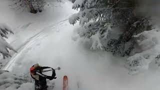 Ski dans la forêt de Plan Peisey  Les Arcs [upl. by Noman133]