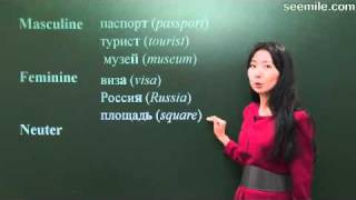 Russian for beginner 4 Nouns and Pronouns [upl. by Llehsem]