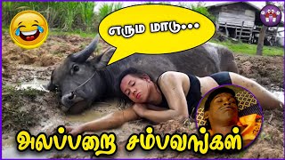 சிரிப்பான விலங்கு சம்பவங்கள்  Animal Sambavangal  Pt5  The Magnet Family 20 [upl. by Roxana]