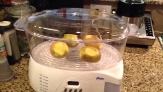 Oster 5712 food steamer [upl. by Ettenwahs354]