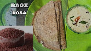 Ragi dosa reciperagi pindhi dosa in telugufoodsteetfoodindia [upl. by Namqul977]