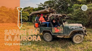 Safari en el Hato La Aurora  Casanare 2023 [upl. by Ivon]