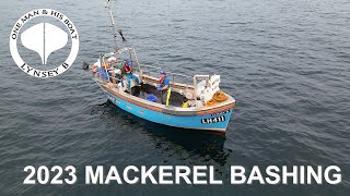 2023 Mackerel Bashing [upl. by Chaffin708]