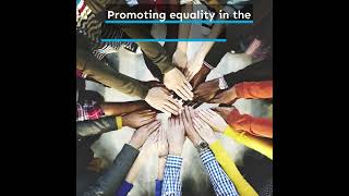 Equality amp Diversity Online Training equalityact onlinetraining [upl. by Anauqat700]