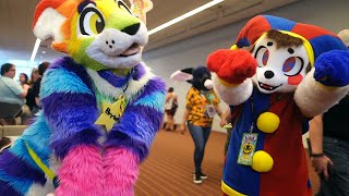 Anthrocon Day 1 Compilation  Unusual and Rare Fursuits  2024 [upl. by Deidre467]